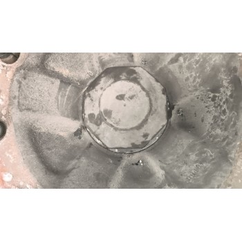 Recambio de buje delantero para renault magnum ab 2005 12.8 diesel referencia OEM IAM 7421022433  