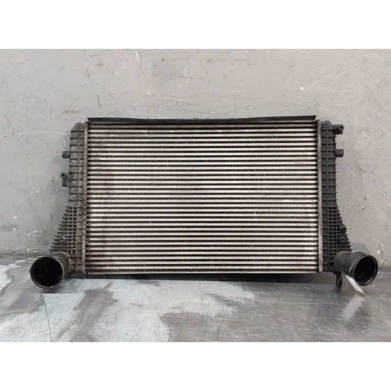 Recambio de intercooler para volkswagen golf v (1k1) 1.9 tdi referencia OEM IAM 1K0145803L  