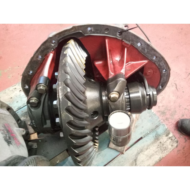 Recambio de grupo para daf serie xf105.460 12.9 diesel referencia OEM IAM 1347 180740 RATIO:2.69 - Blanco 6