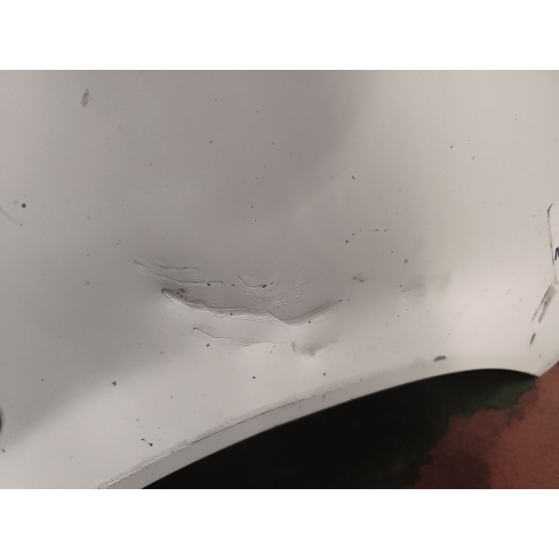 Recambio de puerta delantera derecha para iveco eurotech cursor (mh) 7.8 diesel referencia OEM IAM 1908807 - Blanco 6