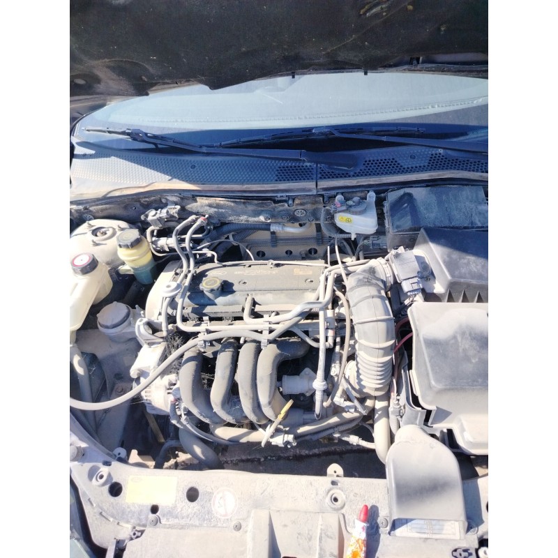 ford focus turnier (cak) del año 1999