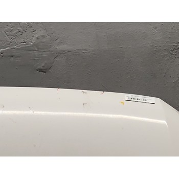 Recambio de capo para volkswagen crafter 30-50 furgoneta (2e_) 2.0 tdi referencia OEM IAM   
