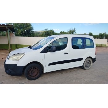 citroën berlingo cuadro del año 2009