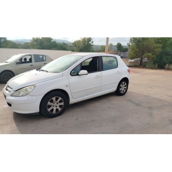 PEUGEOT 307 (S1)