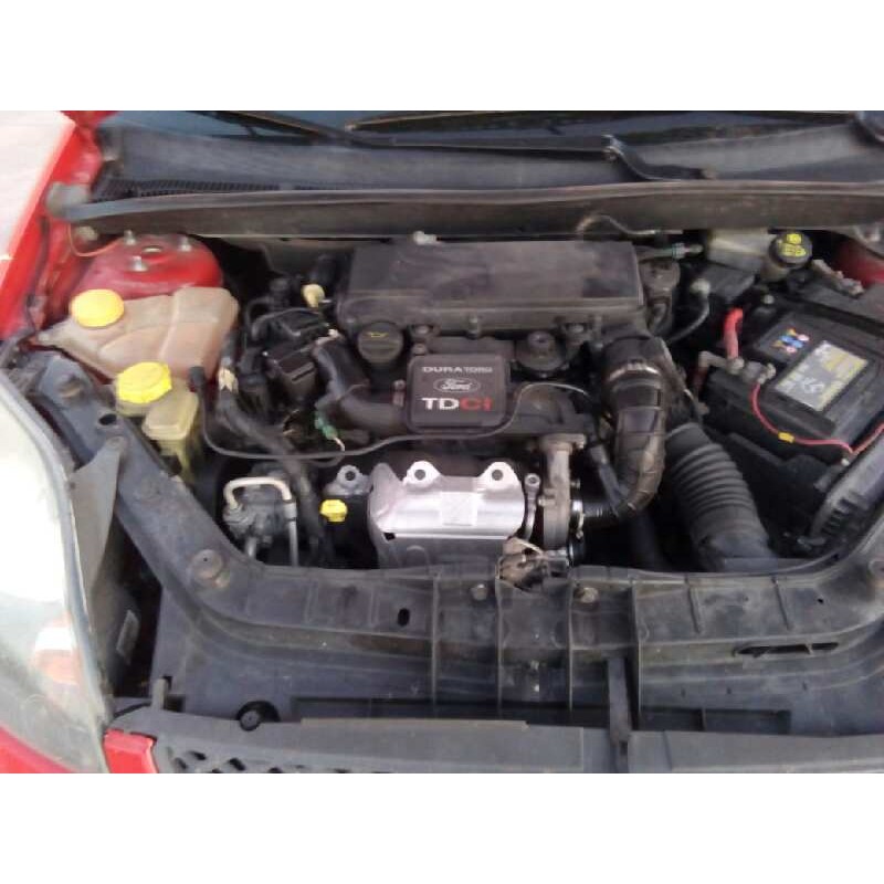 FORD FIESTA (CBK)