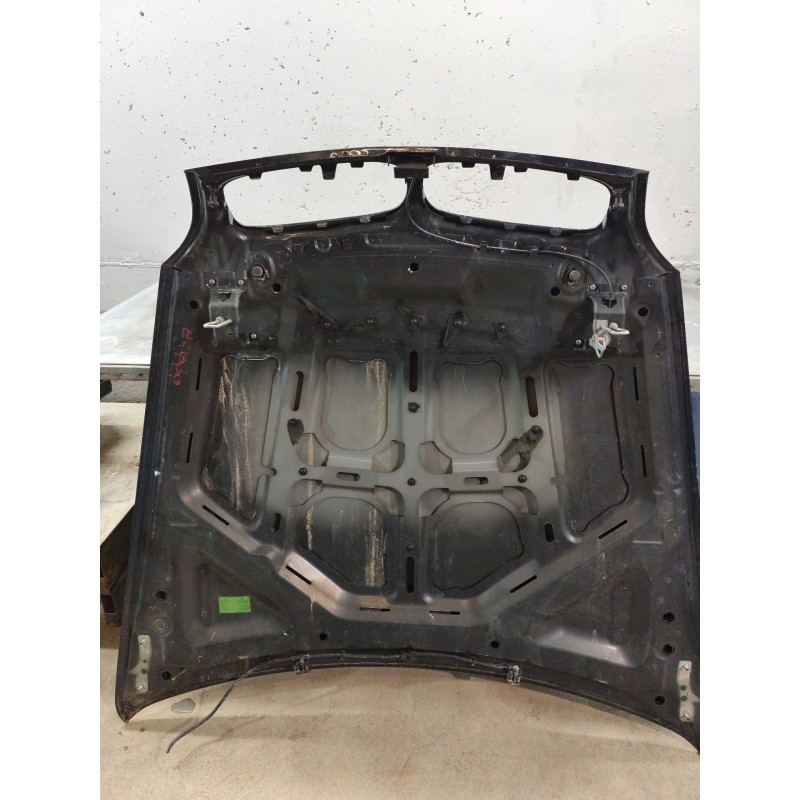 Recambio de capo para bmw x5 (e70) xdrive 30 d referencia OEM IAM - Azul 2
