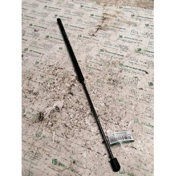 AMORTIGUADORES MALETERO / PORTON 650N