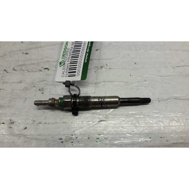 Recambio de calentadores para nissan primera berlina (p12) acenta referencia OEM IAM   