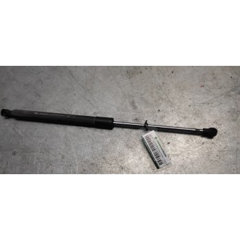 AMORTIGUADORES MALETERO / PORTON 8200299546 