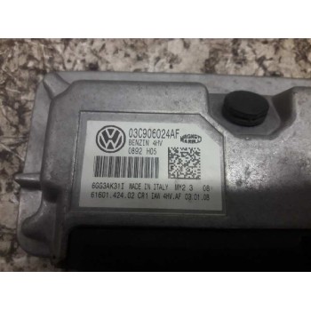 Recambio de centralita motor uce para seat ibiza (6l1) fresh referencia OEM IAM 03C906024AF 6GG3AK31I 6160142402