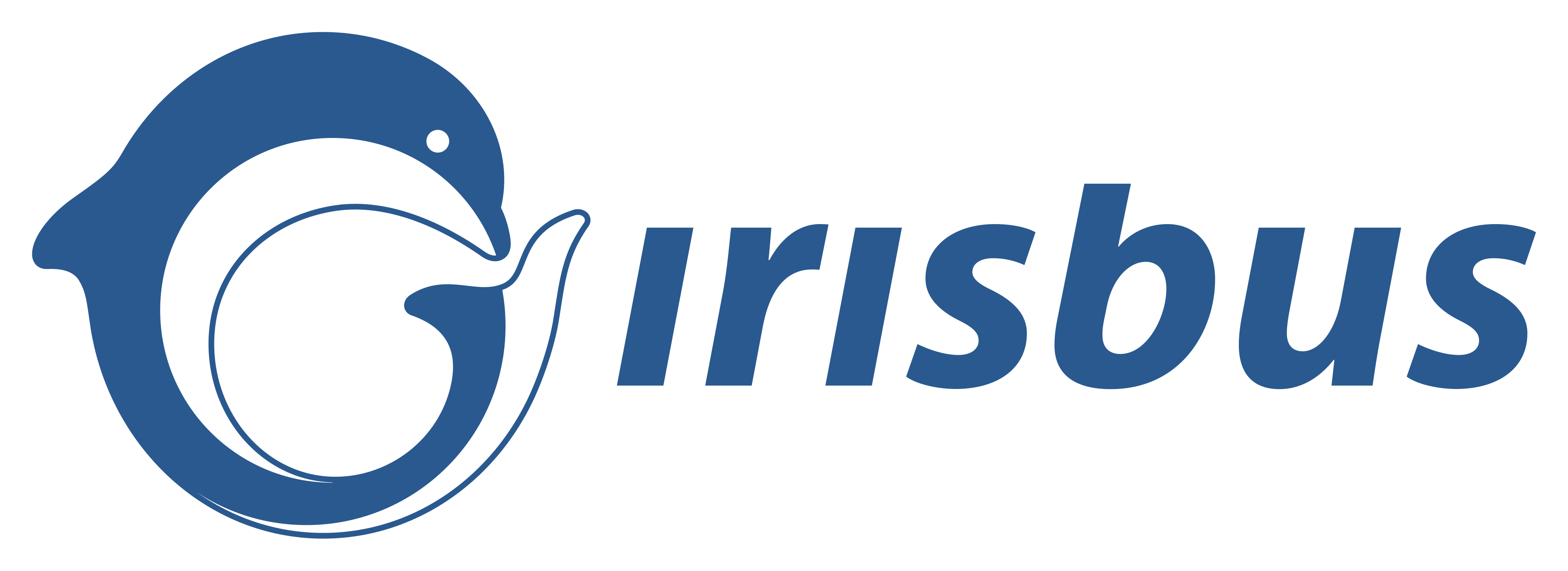 Logo IRISBUS
